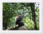 Dierentuin Burgers  Zoo 022 * 3648 x 2736 * (6.76MB)